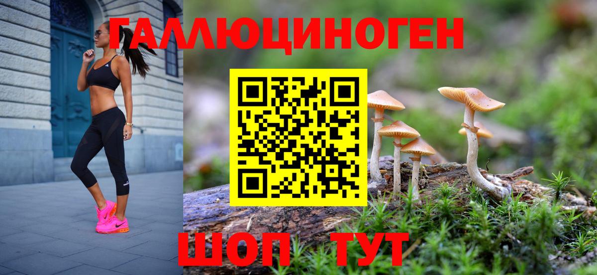 Клин  Псилоцибиновые грибы прущие грибы  Вход с VPN 